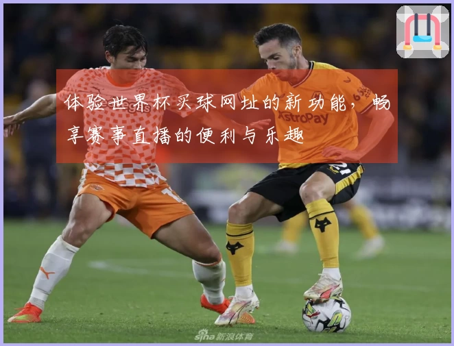 体验世界杯买球网址的新功能，畅享赛事直播的便利与乐趣