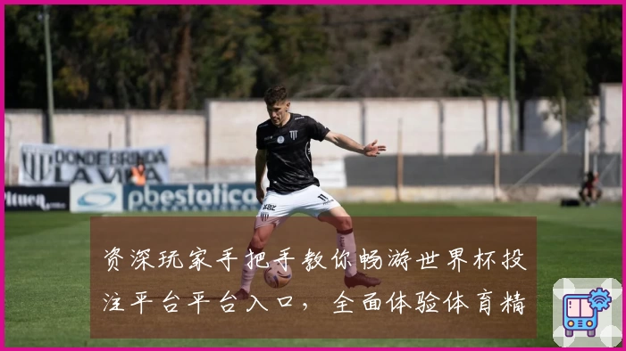 资深玩家手把手教你畅游世界杯投注平台平台入口,全面体验体育精彩