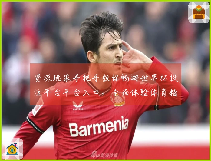 资深玩家手把手教你畅游世界杯投注平台平台入口，全面体验体育精彩