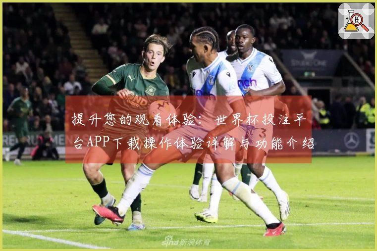 提升您的观看体验：世界杯投注平台APP下载操作体验详解与功能介绍