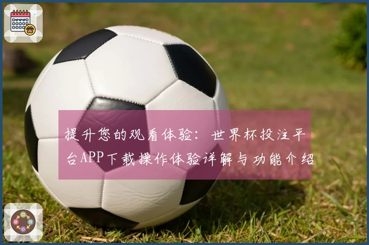 提升您的观看体验：世界杯投注平台APP下载操作体验详解与功能介绍