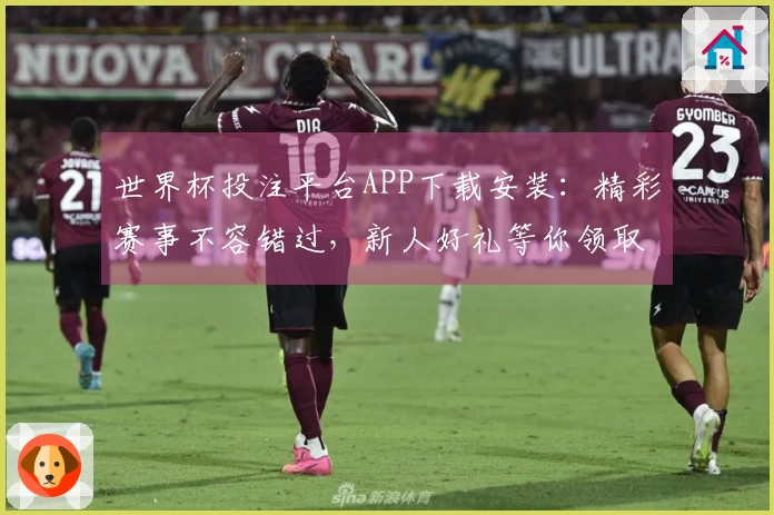 世界杯投注平台APP下载安装：精彩赛事不容错过，新人好礼等你领取
