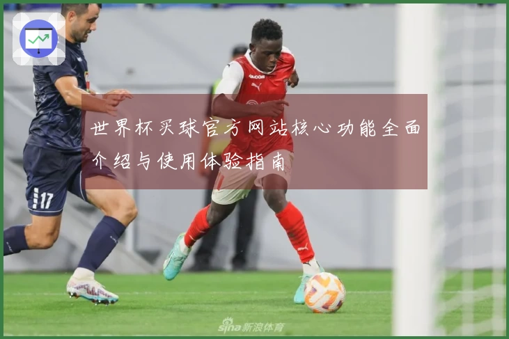 世界杯买球官方网站核心功能全面介绍与使用体验指南