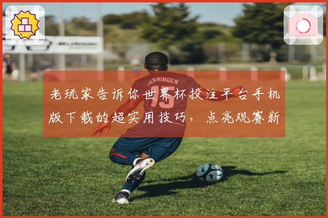 老玩家告诉你世界杯投注平台手机版下载的超实用技巧，点亮观赛新体验